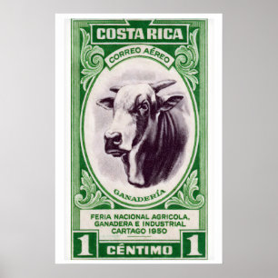 Costa Rica Horned Cow Art Print, Vintage Postage Poster