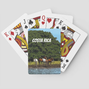 Costa Rica - Horses by the Water Playing Cards