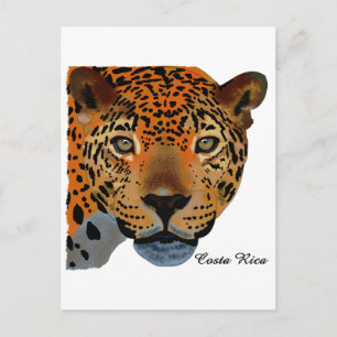 Costa Rica Jaguar Postcard