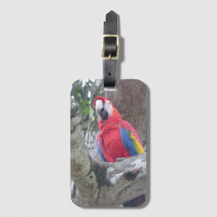 Costa Rica Jungle Bird Luggage Tag