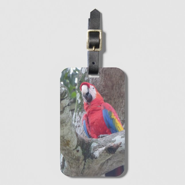 Costa Rica Jungle Bird Luggage Tag (Front Vertical)