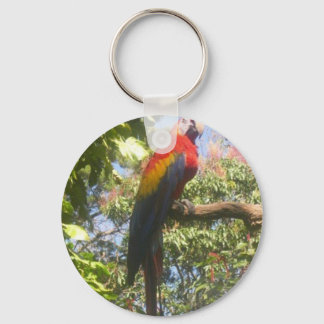 Costa Rica Macaw Key Ring