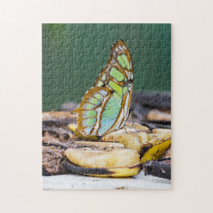 Costa Rica - Malachite butterfly Jigsaw Puzzle