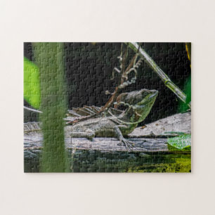 Costa Rica - Male Emerald Basilisk Lizard Jigsaw Puzzle