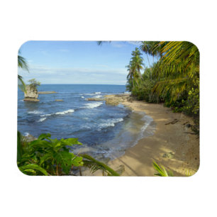 Costa Rica, Manzanillo Wildlife Refuge Magnet