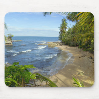 Costa Rica, Manzanillo Wildlife Refuge Mouse Mat