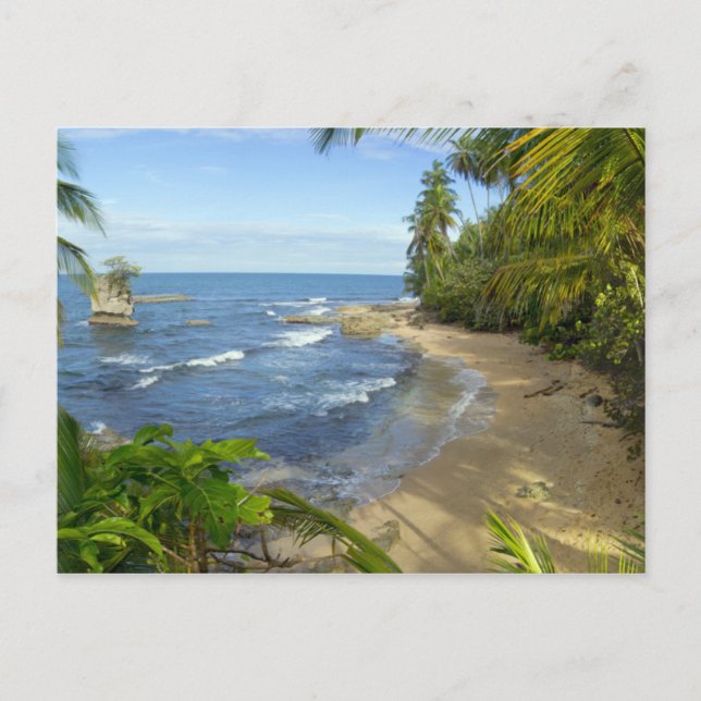 Costa Rica, Manzanillo Wildlife Refuge Postcard (Front)