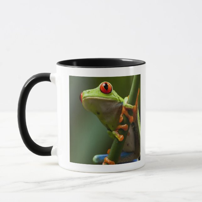 Costa Rica, Monteverde, Red-Eyed Tree Frog Mug (Left)