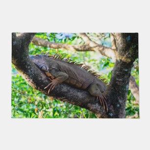 Costa Rica, Muelle - Lazy Iguana resting in a tree Doormat