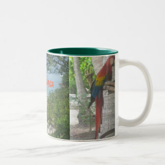 Costa Rica Mug