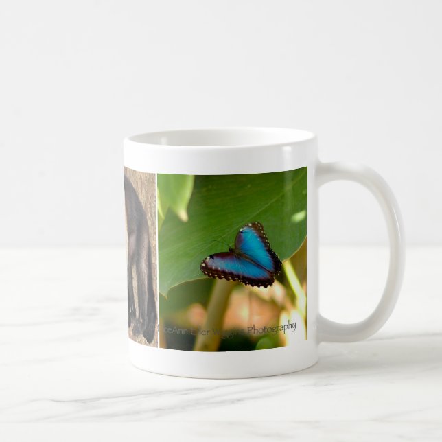 Costa Rica mug (Right)
