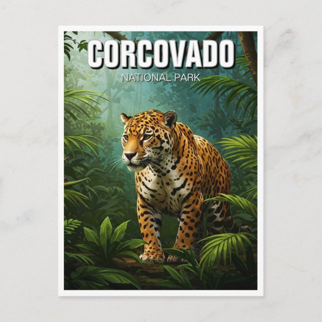 Costa Rica National Park Travel Jaguar Postcard (Front)