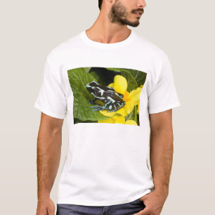 Costa Rica, Osa Peninsula T-Shirt