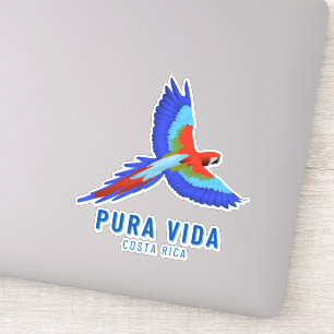 Costa Rica Parrot Colourful Souvenir