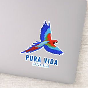 Costa Rica Parrot Colourful Souvenir