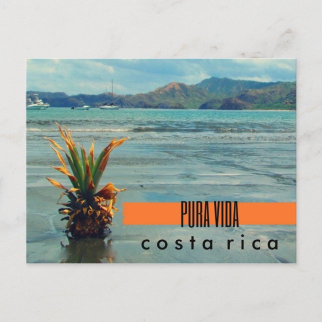 Costa Rica Pineapple on the Beach Postcard (Front)