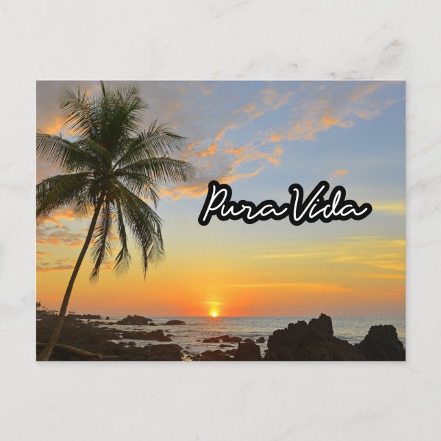 Costa Rica Pura Vida Beach Souvenir Postcard (Front)