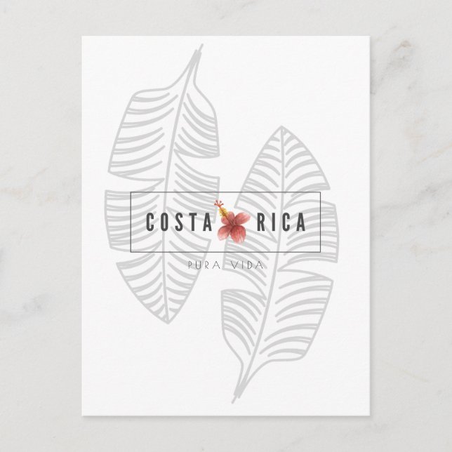 Costa Rica Pura Vida Tropical Leaf Postcard (Front)