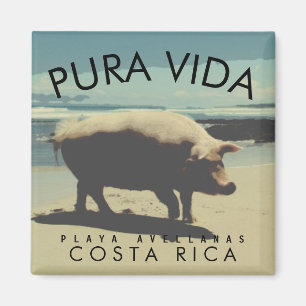 Costa Rica Pura Vida Your Photo Souvenir Magnet