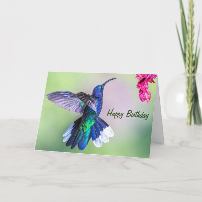 Costa Rica Purple Hummingbird Happy Birthday Card (Front)