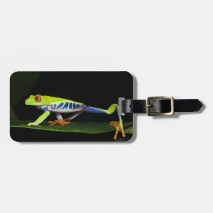 Costa Rica, Red-eyed Tree Frog (Agalychnis Luggage Tag