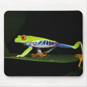 Costa Rica, Red-eyed Tree Frog (Agalychnis Mouse Mat