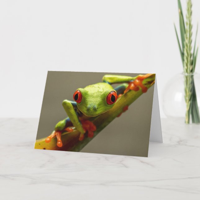 Costa Rica Red-Eyed Tree Frog "I See You" Blank Card (Front)
