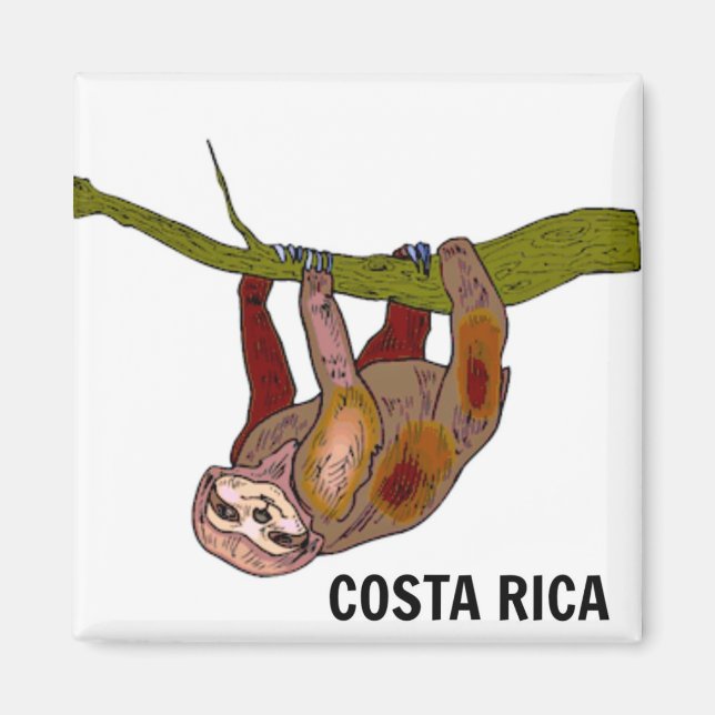 Costa Rica Sloth Magnet (Front)