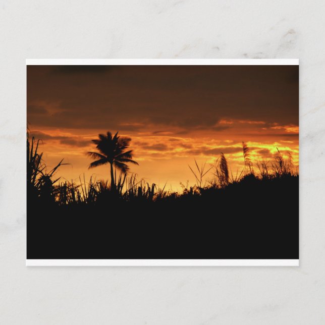 Costa Rica Sunset Postcard (Front)