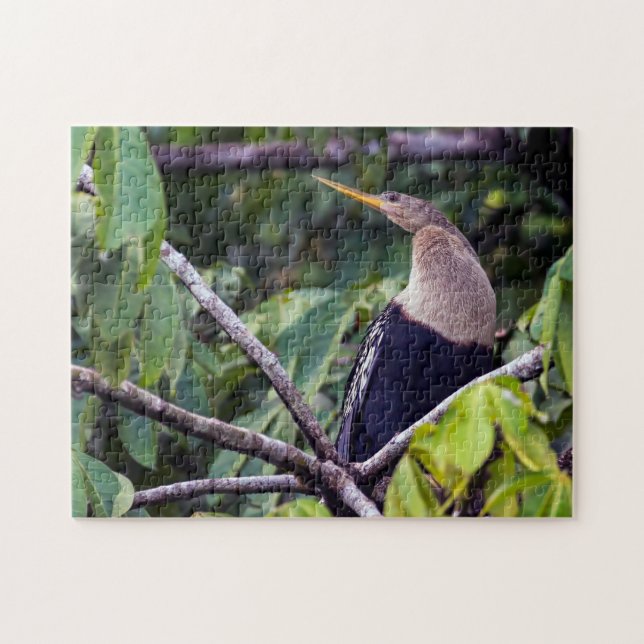 Costa Rica, Tortuguero - Anhinga Jigsaw Puzzle (Horizontal)