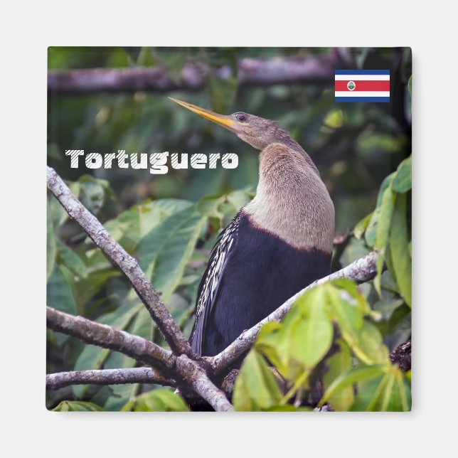 Costa Rica, Tortuguero -  Anhinga Magnet (Front)