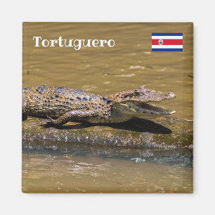 Costa Rica, Tortuguero - Smilling crocodile Magnet