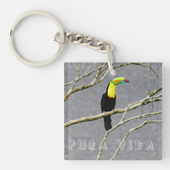 Costa Rica Toucan Souvenir  Key Ring (Front)