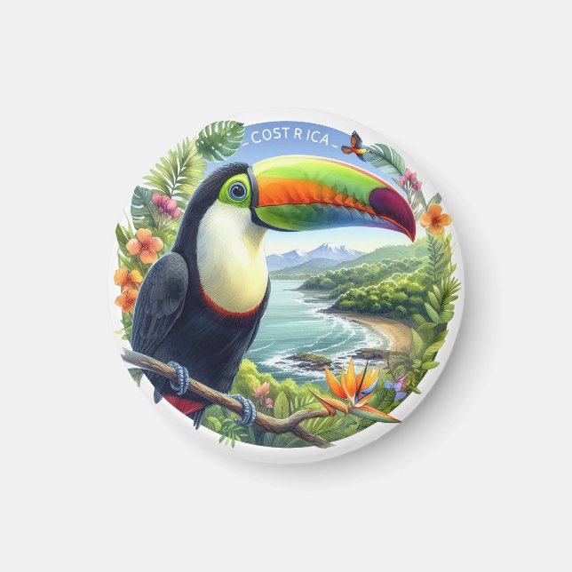 Costa Rica Toucans, Pura Vida Magnet (Front)