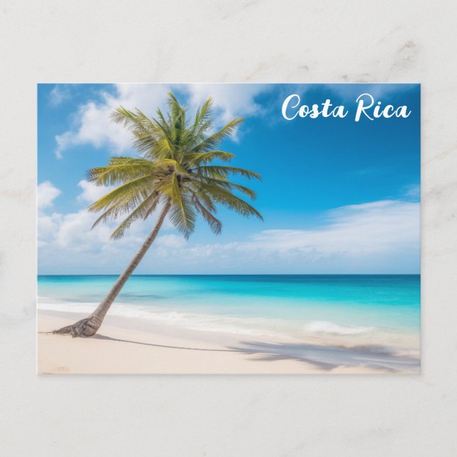 Costa Rica Tropical Beach Palm Tree Travel Postcard (Front)