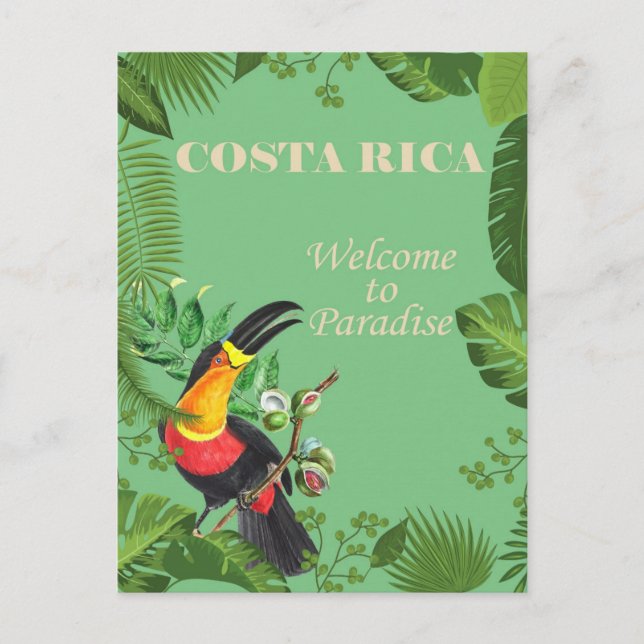 Costa Rica Vintage Toucan Travel Postcard (Front)