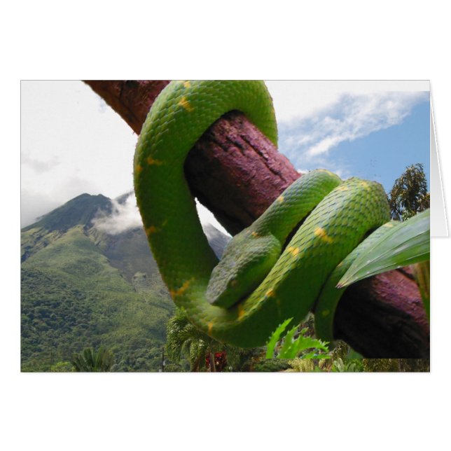 Costa Rica Volcano and Snake (Front Horizontal)
