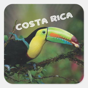 Costa Rica with colourful Toucan Square Sticker