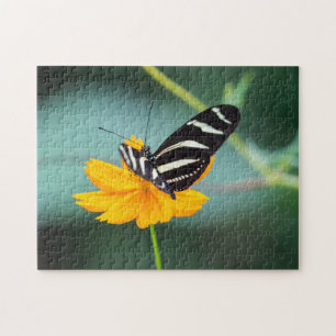 Costa Rica - Zebra Longwing Butterfly Jigsaw Puzzle