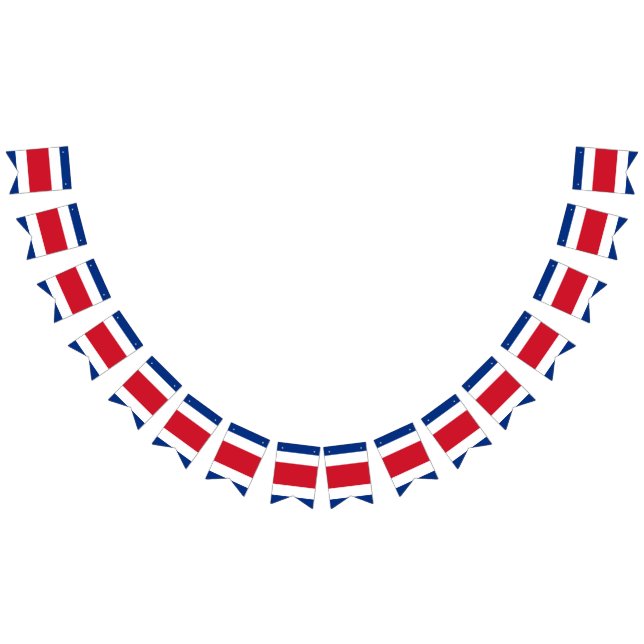 Costa Rican Flag (All)