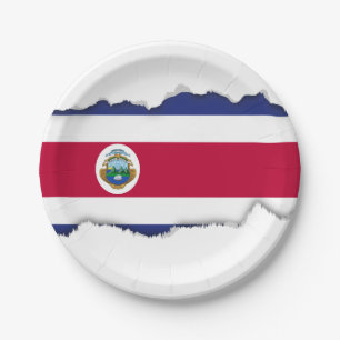 Costa Rican Flag Paper Plate