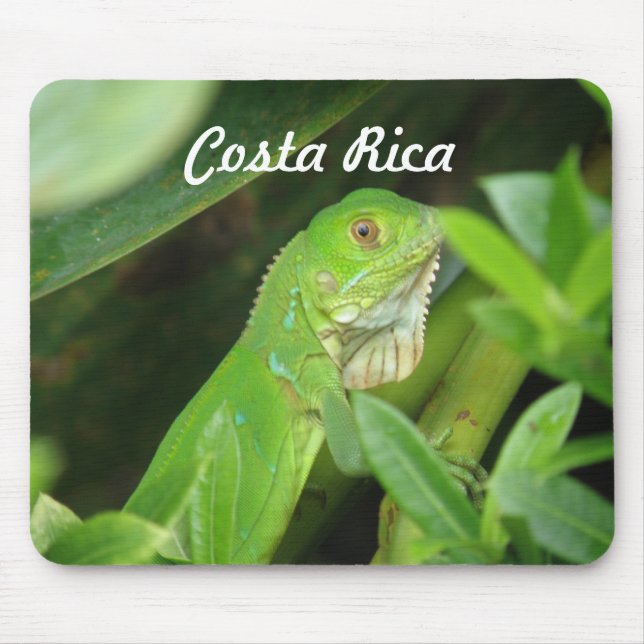 Costa Rican Lizard Mouse Mat (Front)