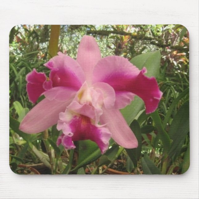 Costa Rican Orchid Mouse Mat (Front)
