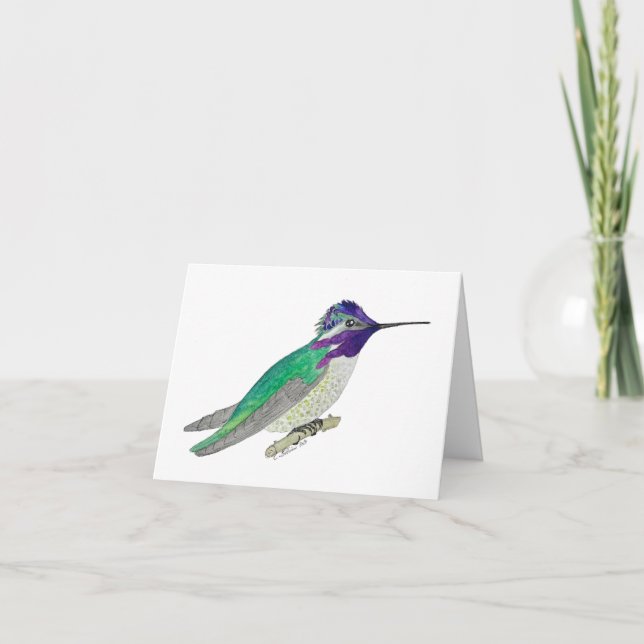 Costa's Hummingbird Card (Front)