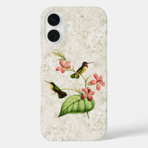 Costa's Hummingbird iPhone 16 Case