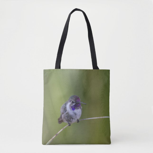 Costa's  Hummingbird in August light Tote Bag (Front)
