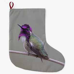 Costa's hummingbird large christmas stocking