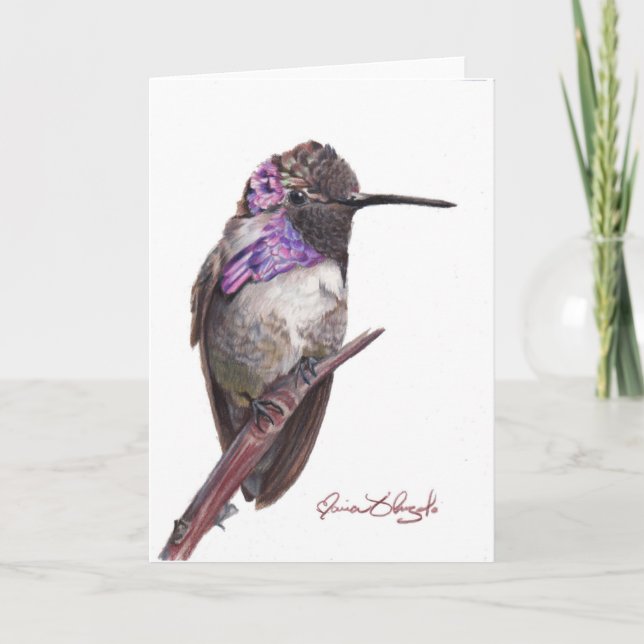 Costa's Hummingbird Note Card (Front)