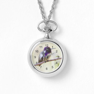 Costa's Hummingbird  Perched on a branch Watch