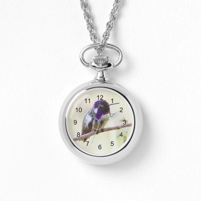Costa's Hummingbird  Perched on a branch Watch (Front)